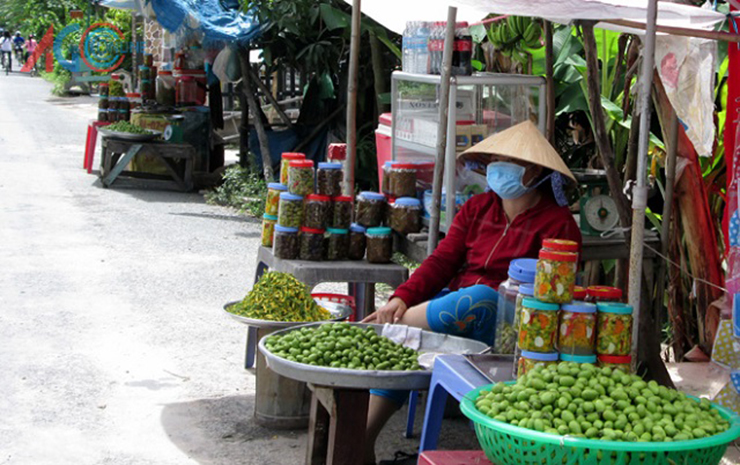 Anh Chính (ở An Giang) cho biết nhà anh có 100 gốc cà na, mỗi năm thu hoạch được khoảng 200kg, thương lái thu mua tận vườn với giá khoảng 25.000 đồng/kg
