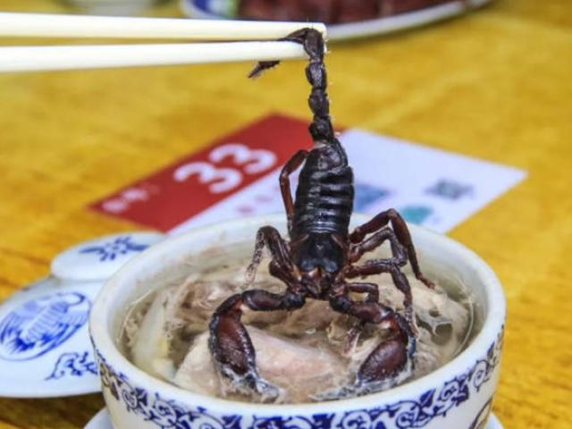 Súp rắn, bọ cạp - món ăn khiến du khách toát mồ hôi hột vì sợ