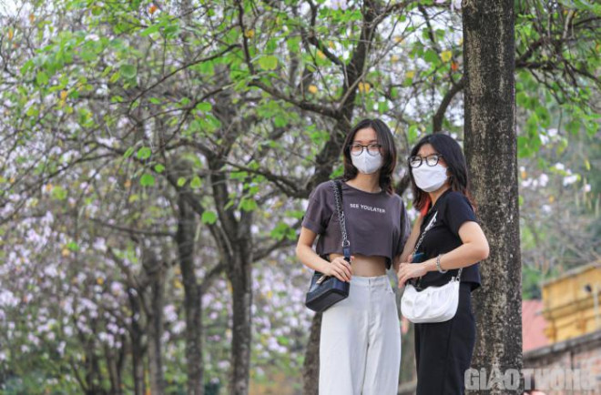 Còn bạn Dương Hà (quận Ba Đình) chia sẻ: “Là người yêu hoa, thích chụp ảnh nên khi hoa ban nở, em tranh thủ rủ mọi người tới đây và hy vọng cả nhóm sẽ có được nhiều bức hình ưng ý".