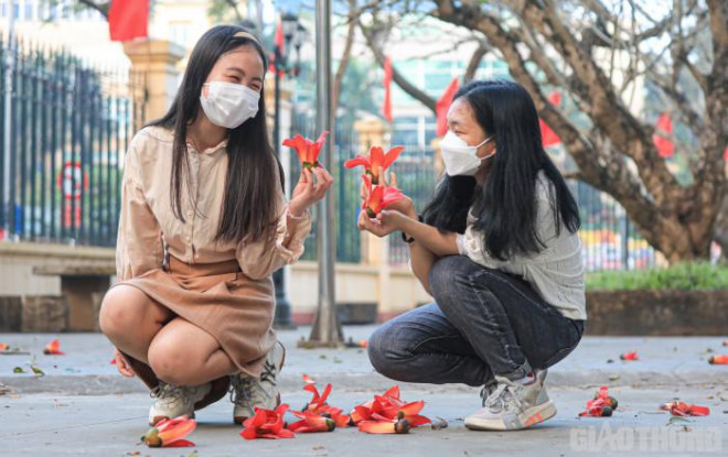 Hào hứng chụp ảnh check in tại đây, hai bạn trẻ Song Nhi, Nguyên Ngọc (sinh viên trường ĐH Khoa học Xã hội và Nhân Văn) cho biết hình ảnh hoa gạo đã in sâu trong ký ức tuổi thơ với vẻ đẹp thanh bình, êm ả.