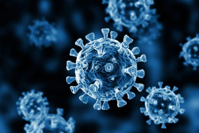 Virus SARS-CoV-2 (Ảnh minh họa từ Internet)