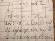 Bạn trẻ - Cuộc sống - Bài văn miêu tả của học sinh lớp 1 khiến phụ huynh sang chấn tâm lý