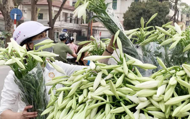 Hoa loa kèn đầu mùa, giá thành khá cao nhưng chị em Hà thành vẫn tấp nập đặt mua - 1