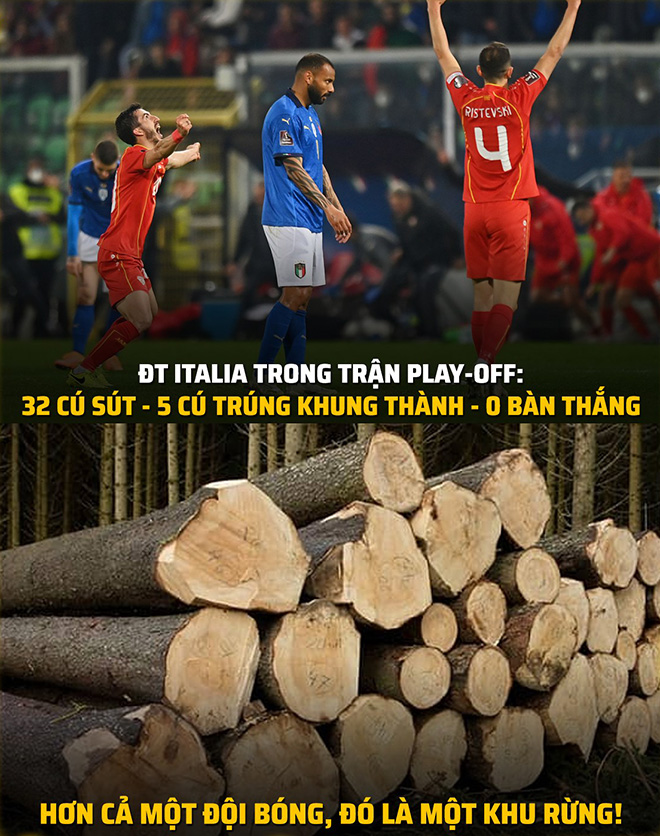 Nguyên một rừng gỗ thì ở nhà xem World Cup là đúng rồi.