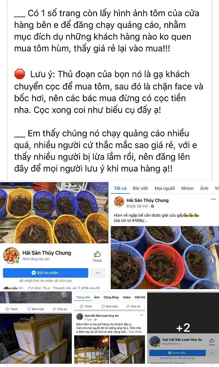 Nhiều tiểu thương bán tôm hùm bức xúc cảnh báo vì bị ảnh hưởng từ những thông tin lừa đảo. (Ảnh chụp màn hình)