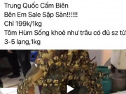 Thị trường - Tiêu dùng - Tôm hùm “cấm biên quay đầu” giá 199.000 đồng/kg rao bán tràn lan trên mạng xã hội