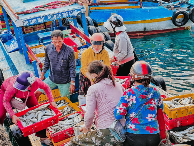 “Phá đảo” Phú Quý mùa đẹp nhất với chi phí hạt dẻ - 7