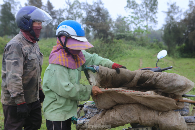 3h sáng, anh Hồ Văn Vượng (trú tại thị xã Hoàng Mai, tỉnh Nghệ An) chuẩn bị đồ nghề rồi chạy trên chiếc xe máy vượt gần 100km để vào huyện Nghi Xuân (Hà Tĩnh) bắt cào cào. Ngoài vợ chồng anh, còn có 10 người trong nhóm cùng đi, nhưng phân ra nhiều địa điểm như xã Xuân Trường, Xuân Hội (Nghi Xuân) để đánh bắt.