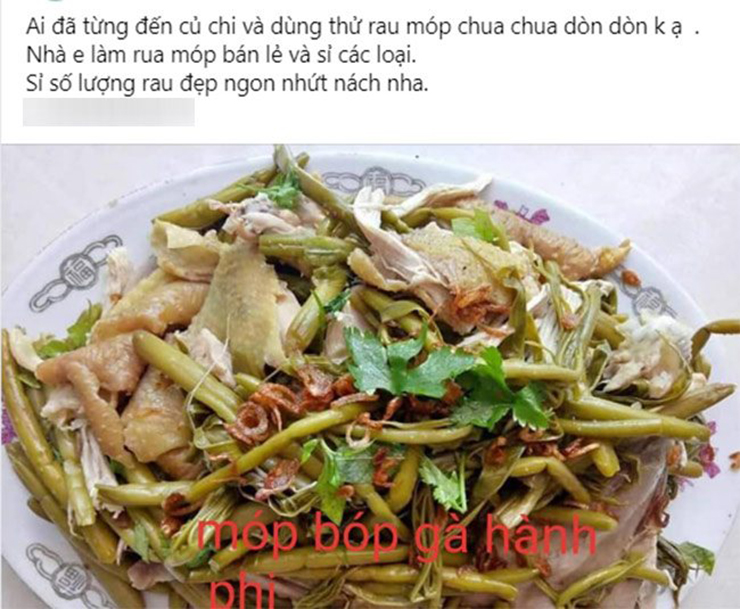 Trên chợ mạng, móp gai muối chua có giá 50.000-80.000 đồng/hũ (khoảng 1-1,3kg). Rau móp tươi cũng được bán với giá khoảng 35.000-45.000 đồng/kg.
