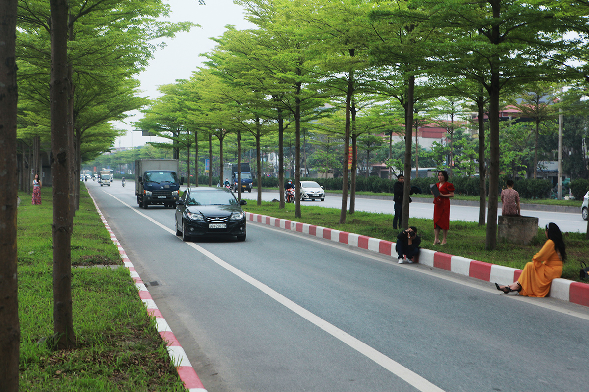 Giật mình với cảnh &#34;quý cô, quý bà&#34; xiêm y lộng lẫy chụp ảnh ven đường vào cao tốc - 13