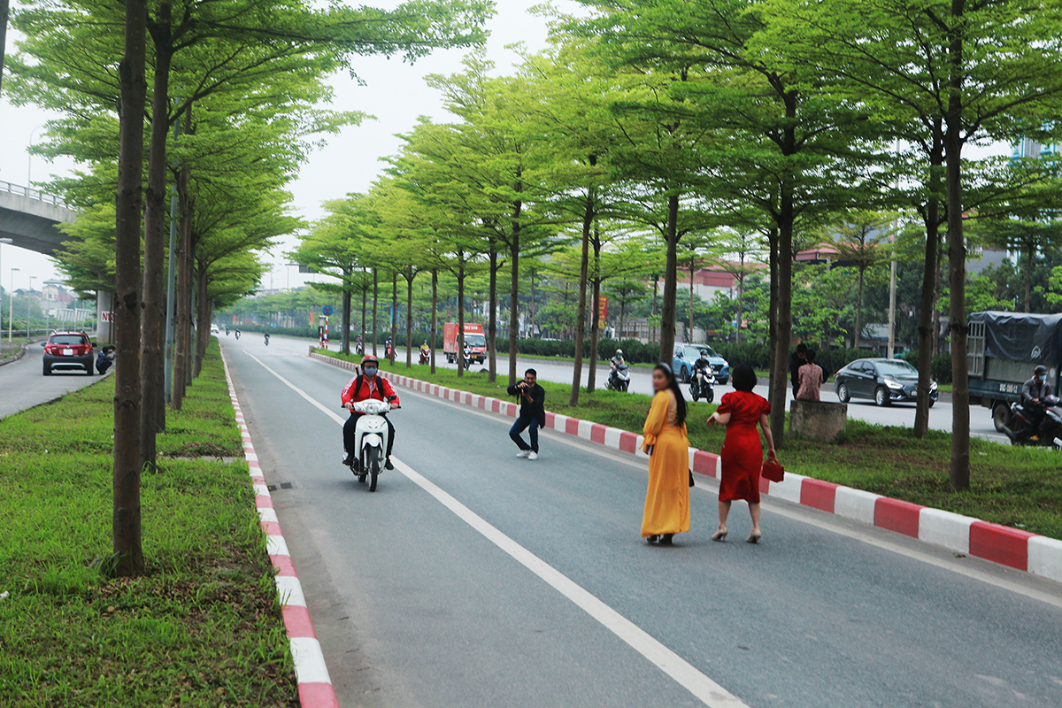 Không chỉ các bạn trẻ mà những người có tuổi cũng diện áo dài vô tư đi lại giữa đường, tạo dáng ghi lại khoảnh khắc bên hàng bàng lá nhỏ xanh mướt