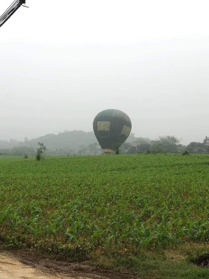 Khinh khí cầu hạ cánh ở ruộng ngô