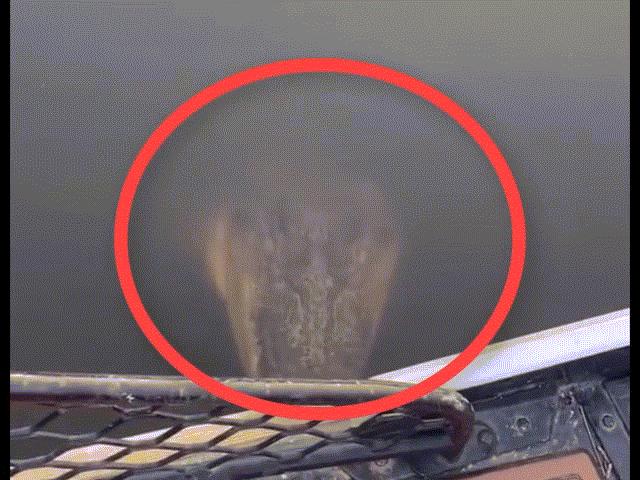 Video: Cá sấu nổi trên mặt nước, nhảy lên đớp người phụ nữ đang quay phim
