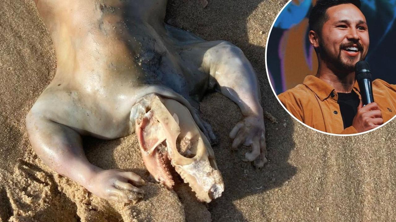 Mục sư Alex Tan phát hiện xác sinh vật bí ẩn khi đang đi dạo trên bãi biển ở Úc. Ảnh: couriormail