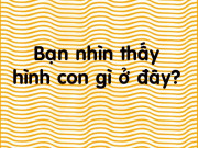 Bạn trẻ - Cuộc sống - Phải có đôi mắt cực tinh tường mới giải được 5 bài quiz này