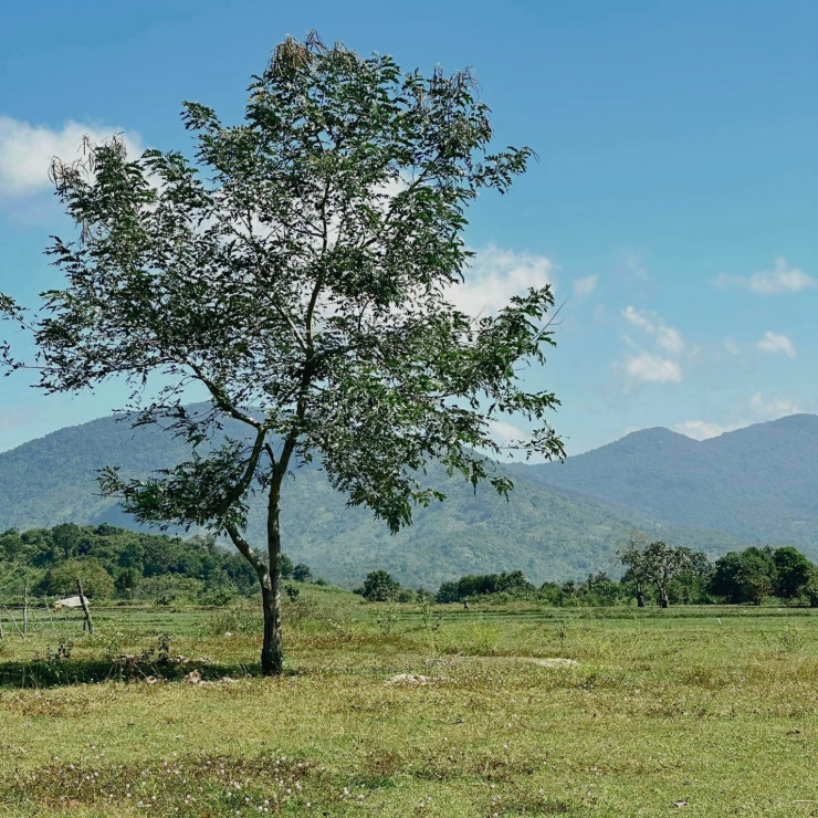 Cô gái Bắc Ninh đến Buôn Ma Thuột rong chơi 30 ngày - 9