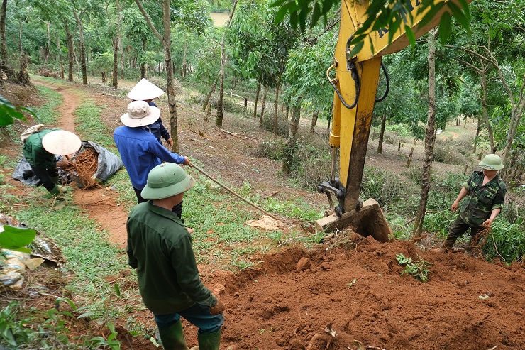 Vì đất đồi núi nên phải nhờ đến máy múc để đào củ ba kích. (Ảnh: Xuân Dư).