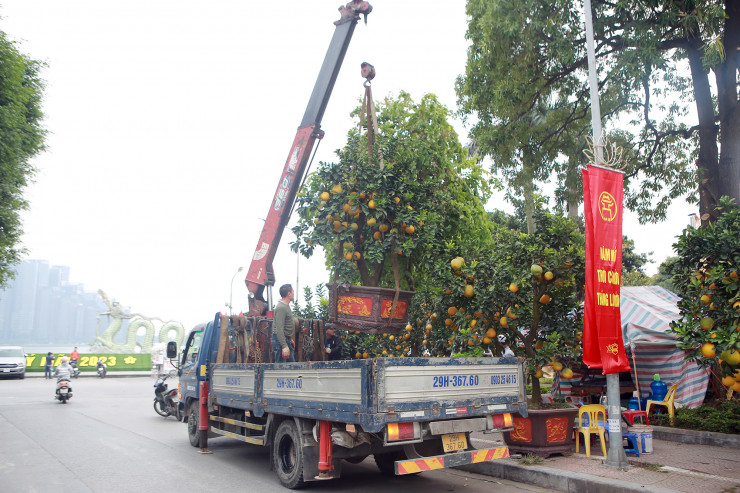 Chợ thường mở bán từ đầu tháng Chạp đến chiều 30 Tết hàng năm.