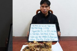 Trộm 1,19 kg sâm Ngọc Linh trị giá hơn 170 triệu đồng