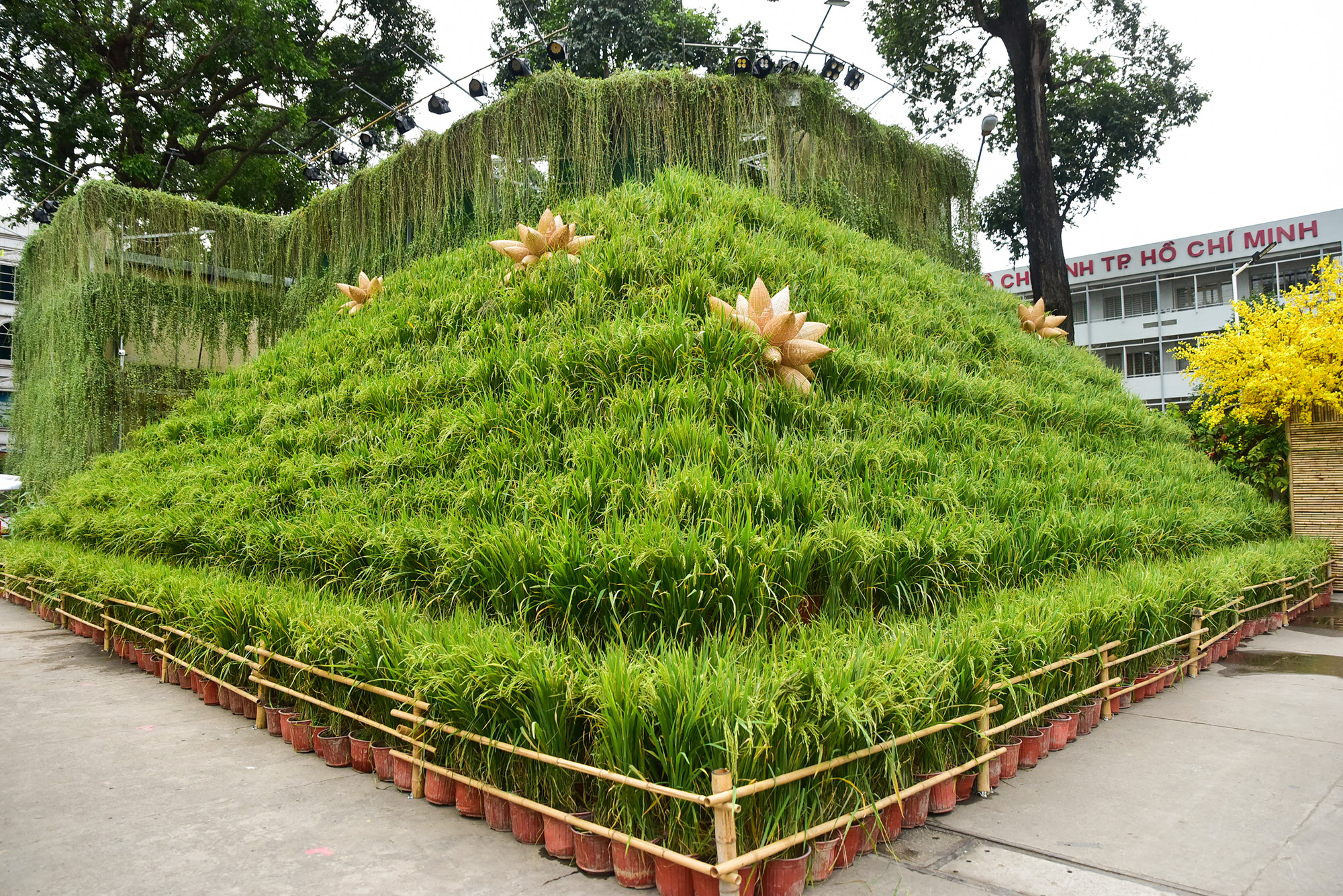 Những dãy ruộng lúa với hàng nghìn chậu lúa sắp đặt cách điệu nhiều tầng gợi liên tưởng đến những cánh đồng cò bay thẳng cánh của đồng bằng Nam bộ.