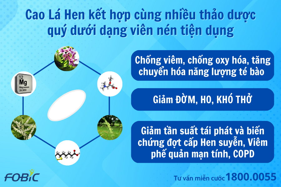 Chuyên gia chỉ rõ 3 lưu ý quan trọng khi chăm sóc bệnh nhân Hen suyễn, COPD để an vui đón tết - 4