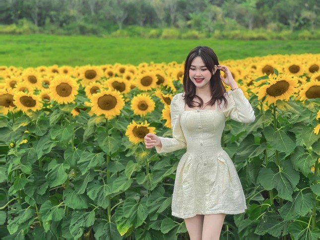 Nữ sinh Đại học Vinh khoe bộ ảnh trên cánh đồng Hoa Hướng Dương rực rỡ - hình ảnh 4
