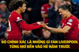 Ảnh chế: Darwin Nunez tỏa sáng nhưng không ”cứu” nổi Liverpool