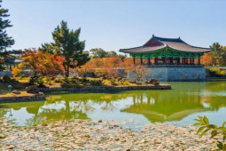 Khám phá Gyeongju, Thành phố cổ xinh đẹp nổi tiếng ở Hàn Quốc