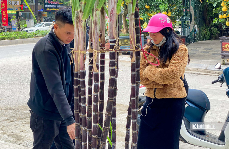 Thông thường, khách mua mía cảnh chơi Tết tin vào ý nghĩa cây mía mang lại. Mía thể hiện sự vươn cao, khoẻ khoắn, tượng trưng cho tinh thần vươn lên của người Việt nhưng cũng có vị ngọt, để muộn năm thuận lợi ngọt ngào. Ngoài ra, cây mía còn được trưng bày cạnh bàn thờ như một loại gậy ông quản, là đòn gánh cho các cụ “gánh” đồ con cháu cúng…