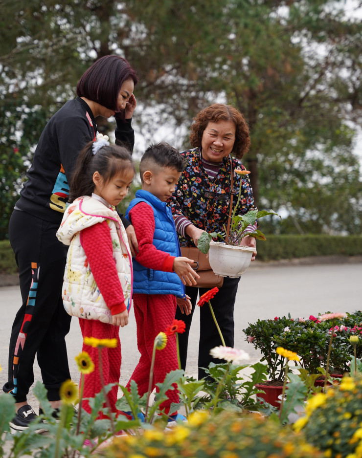 Trước nhu cầu của người dân, chợ hoa cho người "cõi âm" mở bán các loại cây cảnh, hoa tết, trái cây... ngay tại công viên nghĩa trang Lạc Hồng Viên.