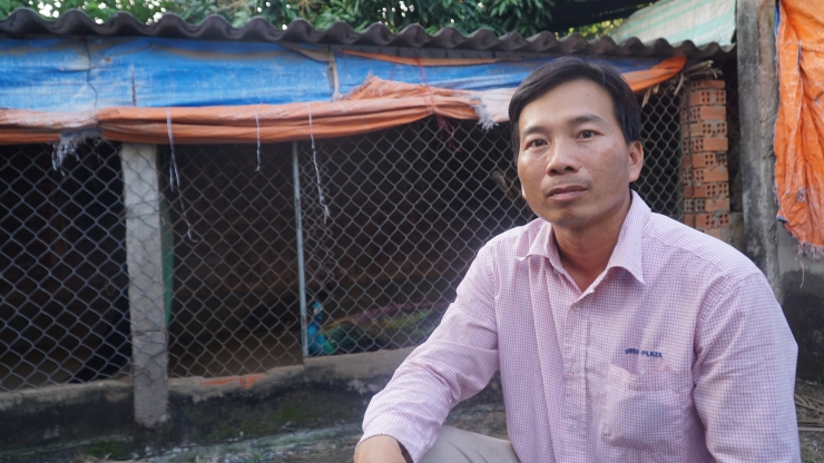 Tien Giang man earns nearly half a billion/year by raising noble birds - 1