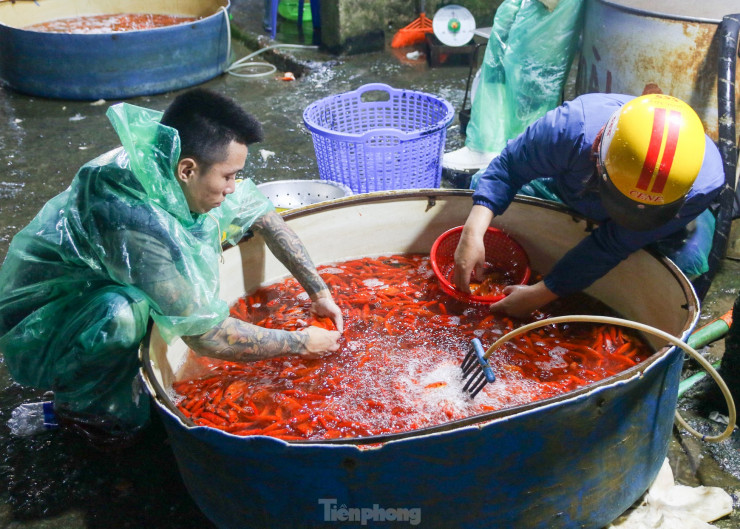 Chợ cá Yên Sở là chợ thủy sản lớn nhất khu vực miền Bắc, chuyên cung cấp các loại cá nước ngọt bán buôn, đóng xe hàng cho cả nước.