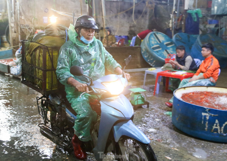 Chợ cá Yên Sở rực sắc đỏ, nhộn nhịp trước ngày cúng ông Công - ông Táo - 9