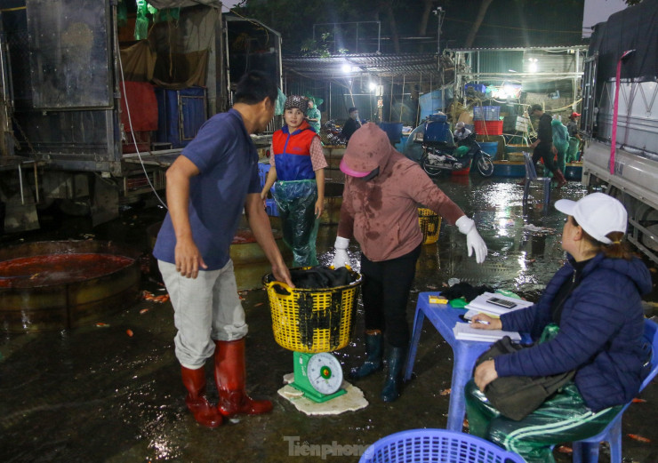 Từ 3h giờ sáng, các tiểu thương các chợ lớn nhỏ trên địa bàn thành phố đã ​đổ về đây mua cá.