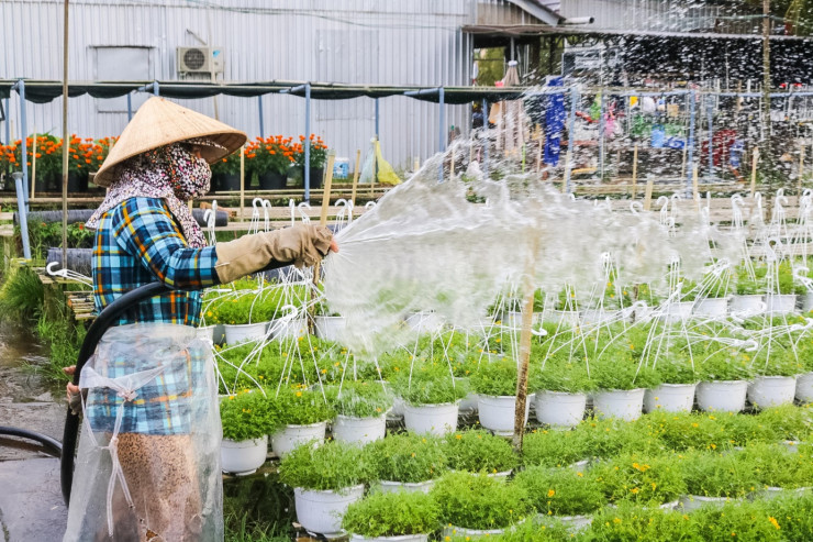 Ngoài là địa điểm tham quan, ngành công nghiệp hoa kiểng tại làng hoa Sa Đéc còn tạo ra công ăn việc làm cho rất nhiều người dân tại Đồng Tháp.