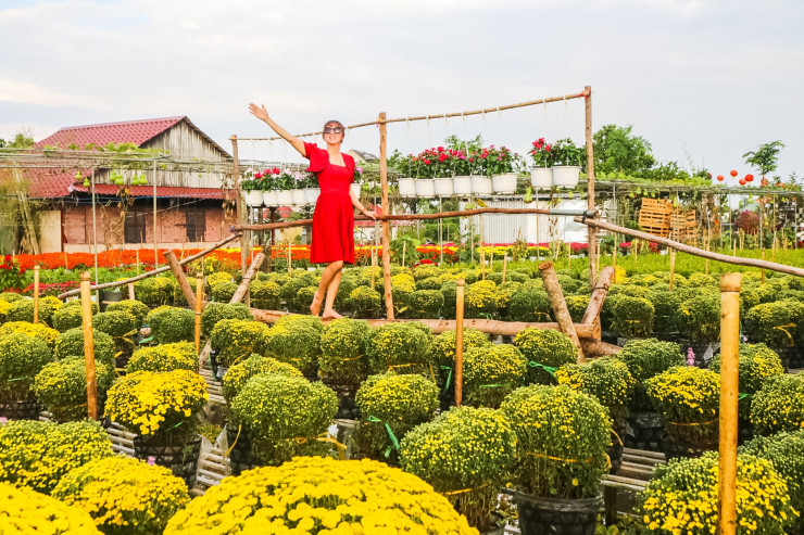 Ngàn hoa khoe sắc lung linh giữa lòng trung tâm thành phố Sa Đéc.