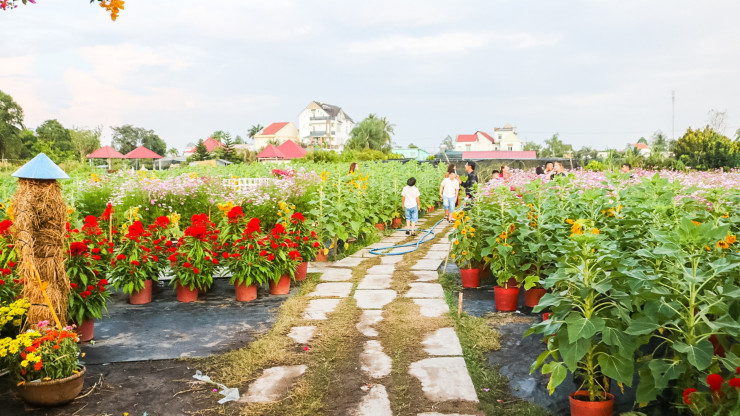 Qua bàn tay chăm sóc tài hoa của các nghệ nhân đã tạo ra những cánh đồng hoa rực rỡ, lung linh giữa lòng thành phố.