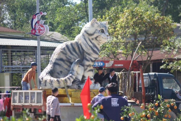 Cận cảnh linh vật mèo “hoàng hậu” khiến dân đội nắng chờ xem ở Quảng Trị - hình ảnh 5