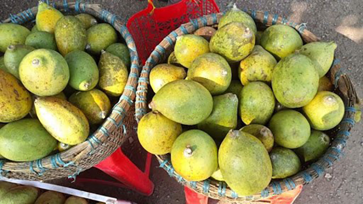 Ở Biên Hòa, Đồng Nai có một loại quả xuất hiện trong mâm ngũ quả ngày Tết mà ít người biết tới, đó là trái ngâu
