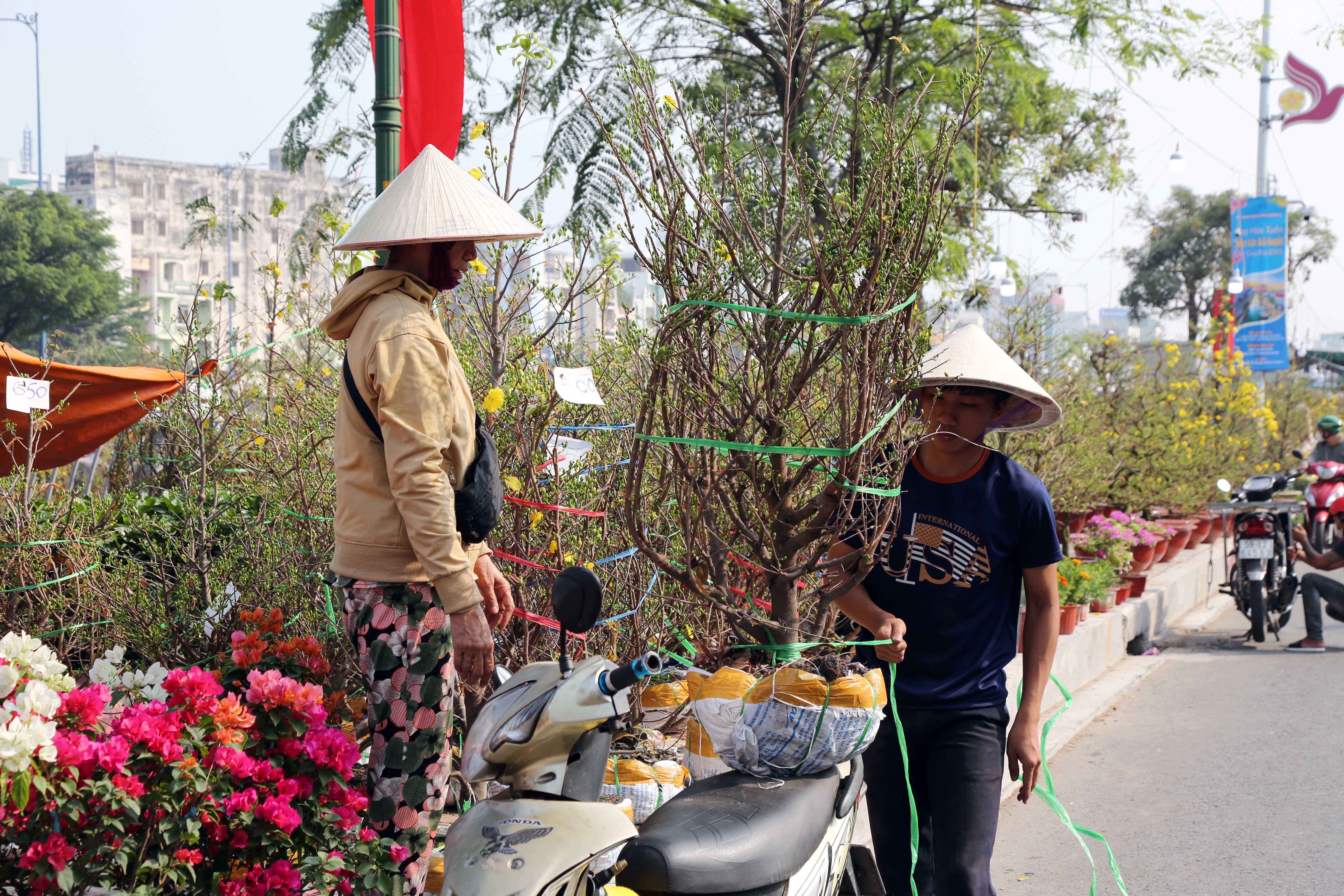 Chương trình chợ hoa xuân “trên bến dưới thuyền 2023” kéo dài từ 25 đến 30 tháng Chạp. Chợ hoa năm nay có nhiều loại hoa hơn, đa dạng màu sắc. Tuy nhiên, vẫn tập trung chủ yếu là mai và quất.&nbsp;