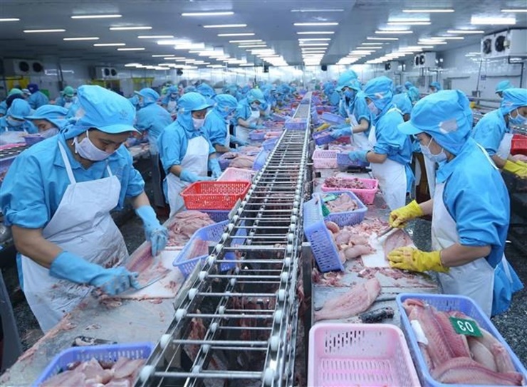 An Giang được xem là thủ phủ cá tra ở Việt Nam, mỗi năm xuất khẩu sang thị trường các nước khác số lượng lớn.
