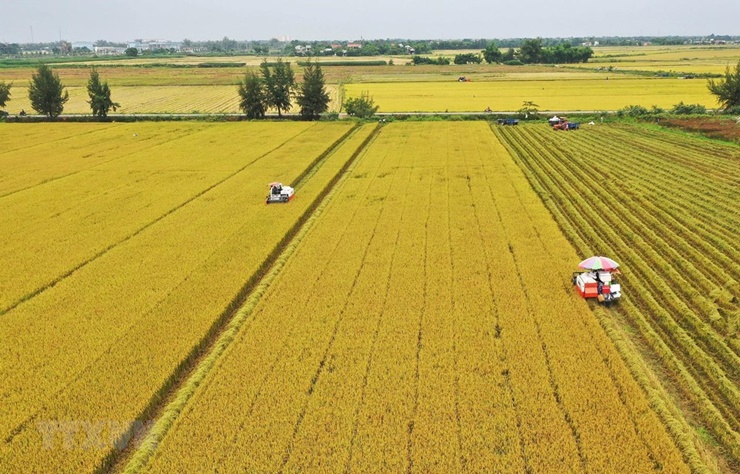 An Giang là tỉnh có nông nghiệp&nbsp;&nbsp;là mũi nhọn trong phát triển kinh tế của tỉnh.
