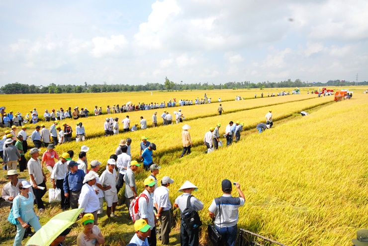 An Giang là tỉnh đầu nguồn sông Cửu Long, có nguồn nước ngọt quanh năm, đất đai phù sa màu mỡ. Tỉnh có hơn 80% diện tích đất nông nghiệp.
