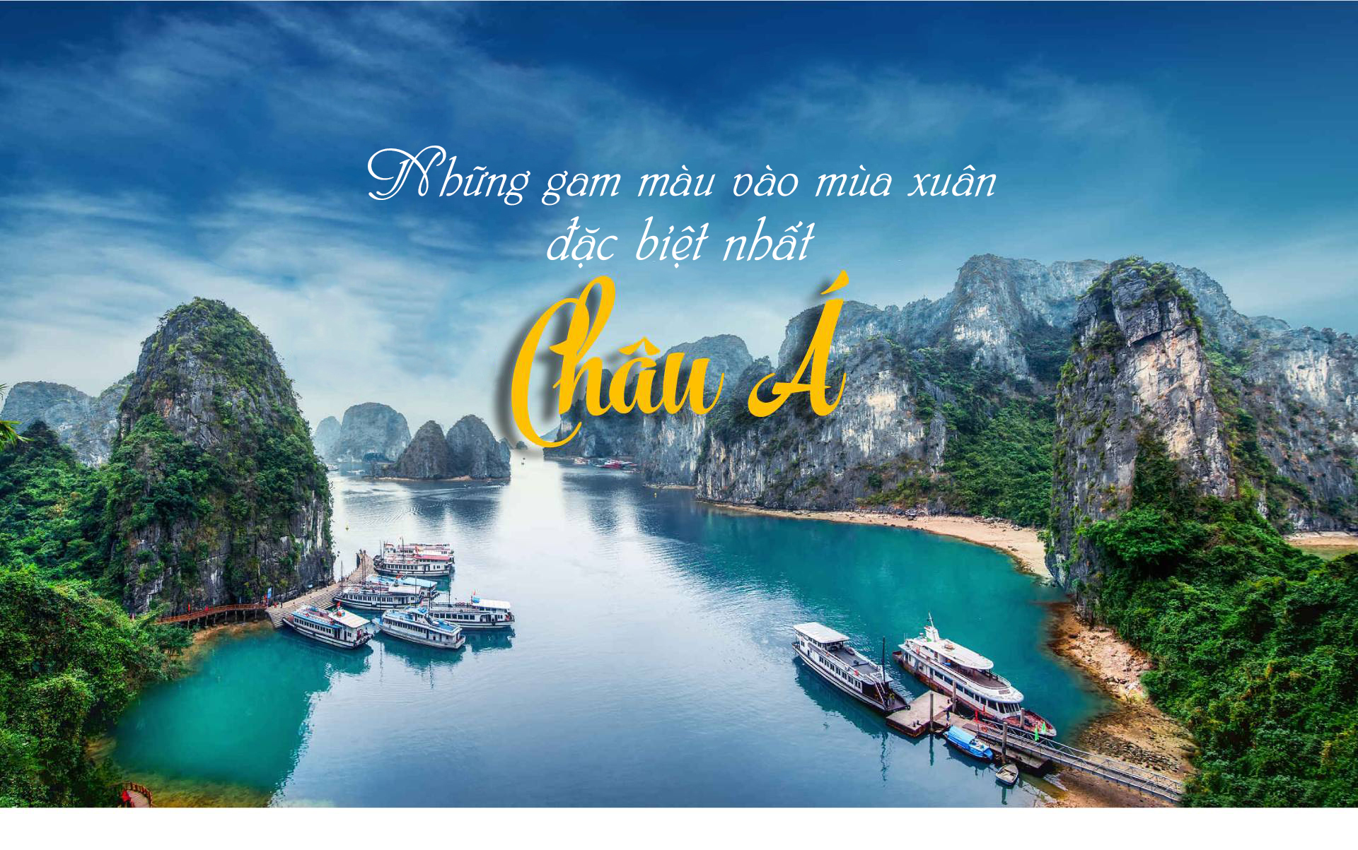 Những gam màu đặc biệt nhất châu Á khi xuân về - 1