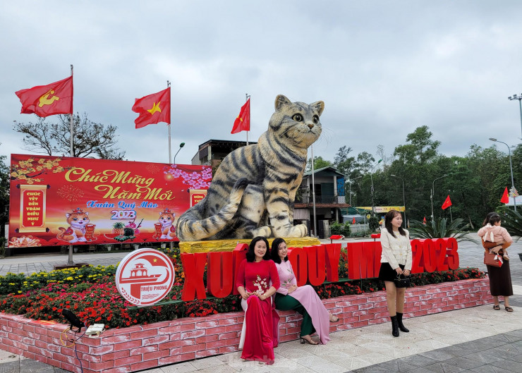 Đi hơn 10 km để chụp ảnh check in bên &#39;hoa hậu&#39; mèo Quảng Trị gây sốt mạng xã hội - 2