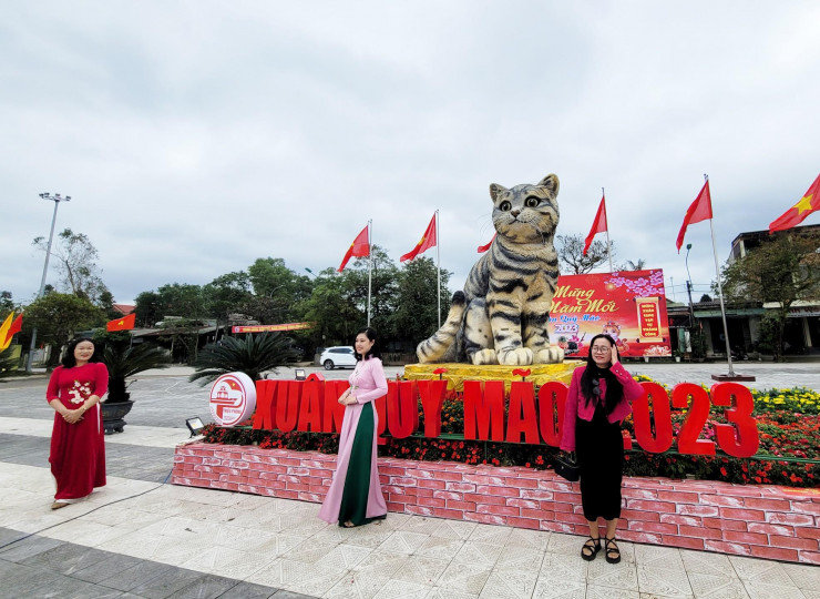 Đi hơn 10 km để chụp ảnh check in bên &#39;hoa hậu&#39; mèo Quảng Trị gây sốt mạng xã hội - 6