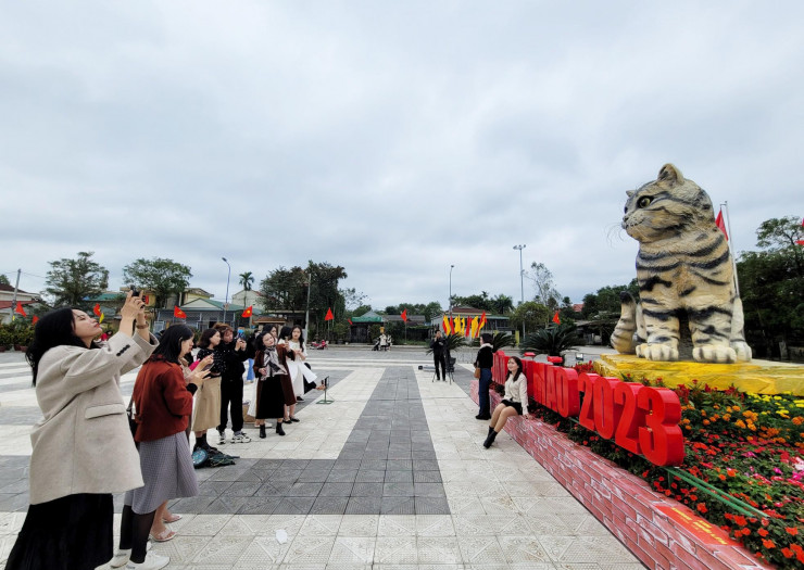 Đi hơn 10 km để chụp ảnh check in bên &#39;hoa hậu&#39; mèo Quảng Trị gây sốt mạng xã hội - 5