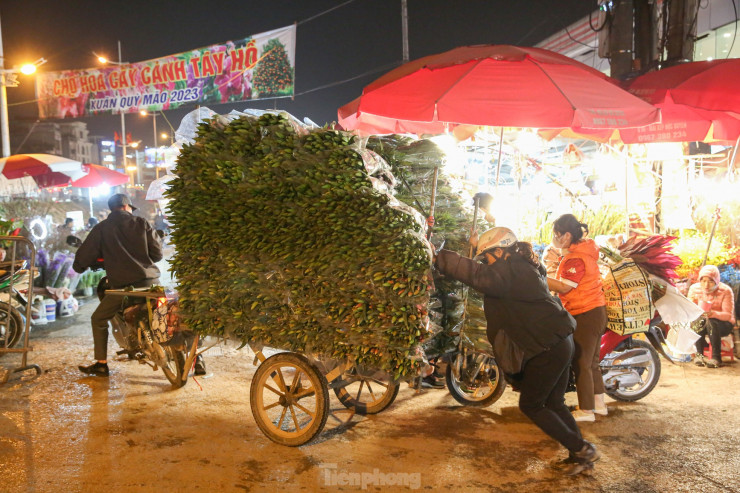 Chợ hoa đêm Quảng Bá thuộc địa bàn quận Tây Hồ, được biết đến là chợ đầu mối lớn nhất cung cấp hoa tươi cho cả thành phố Hà Nội. Chợ họp trên khoảng không gian nằm dọc trên đường đê Âu Cơ, nơi tiếp giáp giữa hai phường Tứ Liên và Quảng Bá.