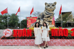 Đi hơn 10 km để chụp ảnh check in bên 'hoa hậu' mèo Quảng Trị gây sốt mạng xã hội
