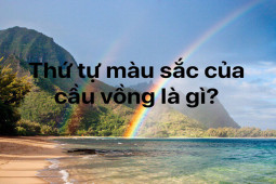 Thử tài với loạt câu đố thách thức siêu trí tuệ